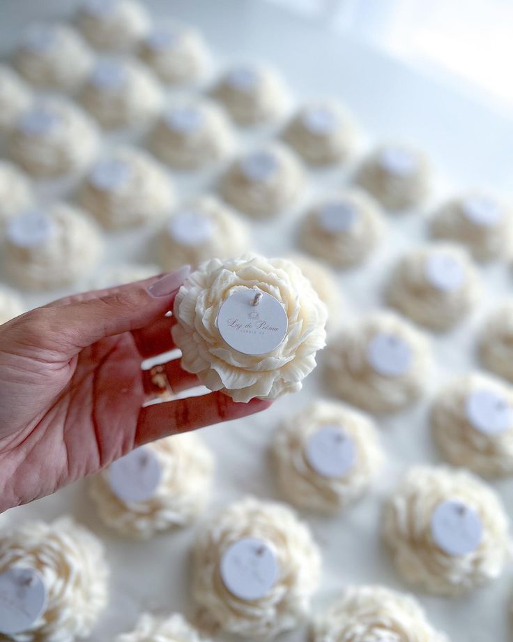 Vela Peonia Mediana (solo vela)