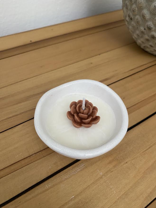 Vela Suculenta en Cuenco Irregular