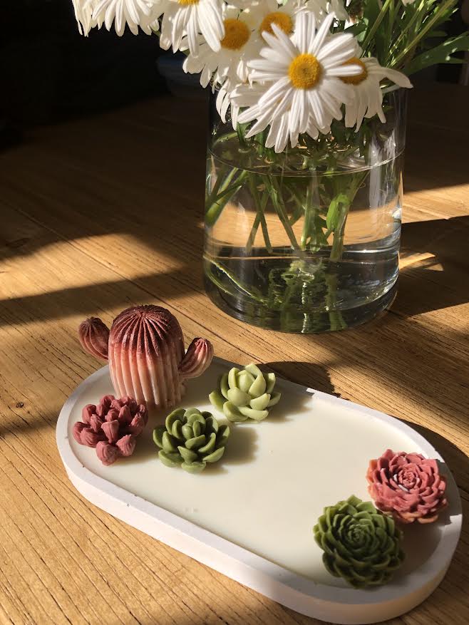 Bandeja de Suculentas