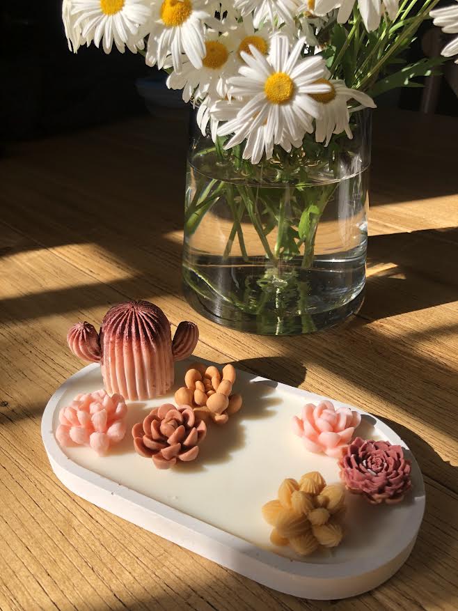 Bandeja de Suculentas