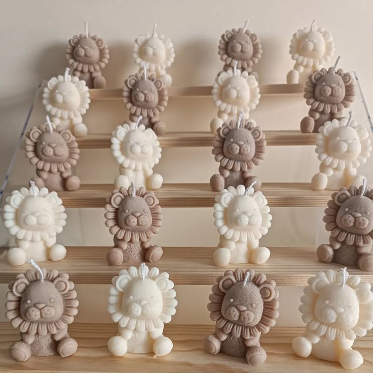 Vela Leoncito (solo vela)